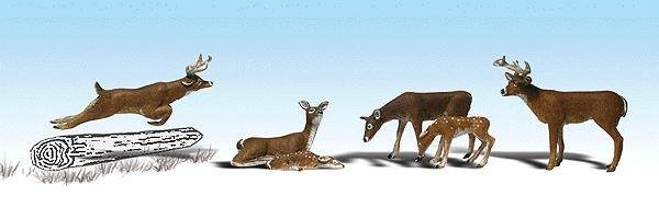 Deer (5)