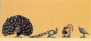 Turkeys & Peacocks (4)