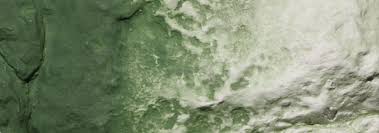 Woodland Scenics Liquid Pigment