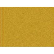 Badger Model Railroad Paint 1oz