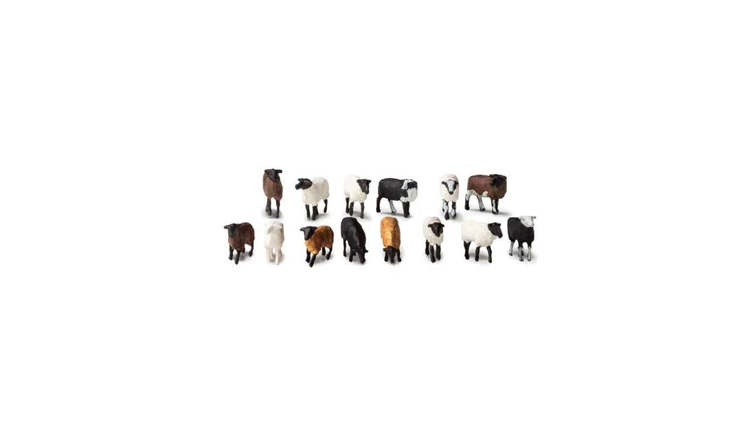 Flock of Sheep - 14