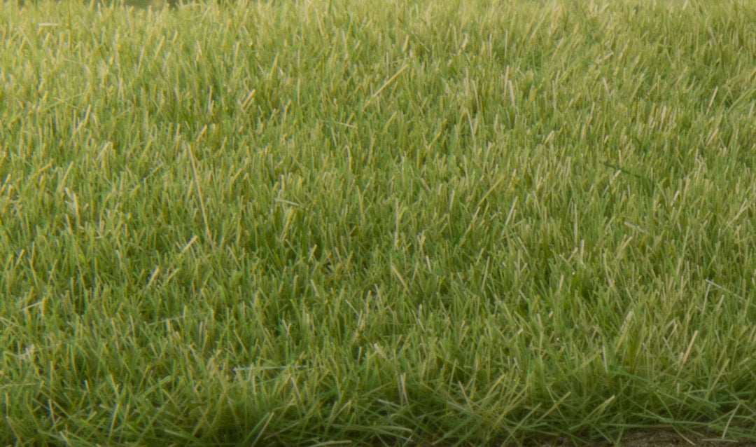 Woodland Scenics Static Grass