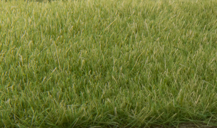 Woodland Scenics Static Grass