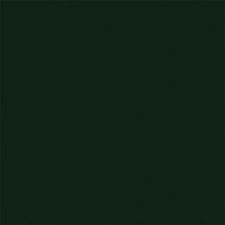 Tru-Color Brushable Paint