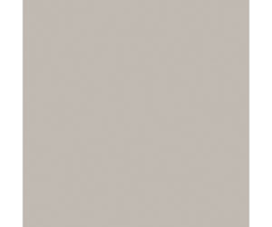 Tru-Color Brushable Paint