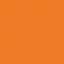 Tru-Color Brushable Paint