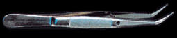 Curved Tweezers (Serrated)