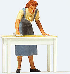 Housewife Cleaning the Table