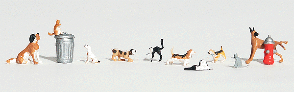 Dogs & Cats