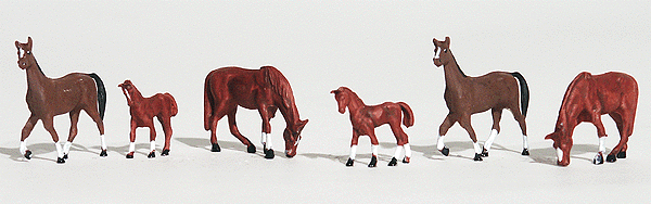 Chestnut Horses