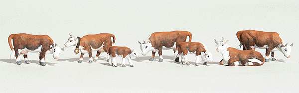 Hereford Cows