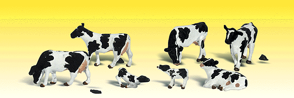 Holstein Cows