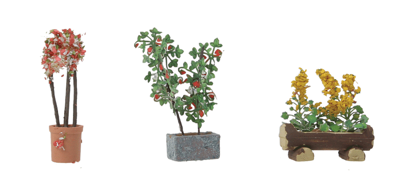 HO Botanicals