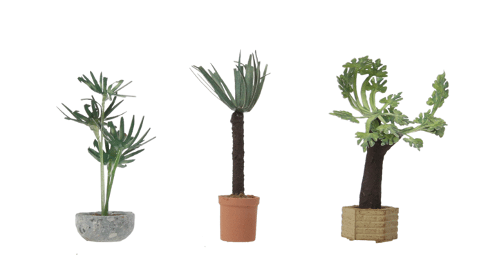 HO Botanicals