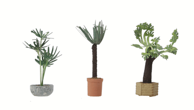 HO Botanicals