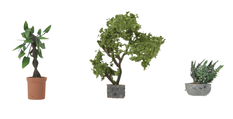HO Botanicals
