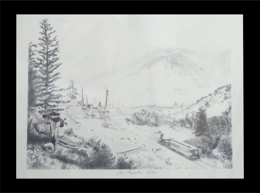 Custom Lithography Prints by Tom Teeple