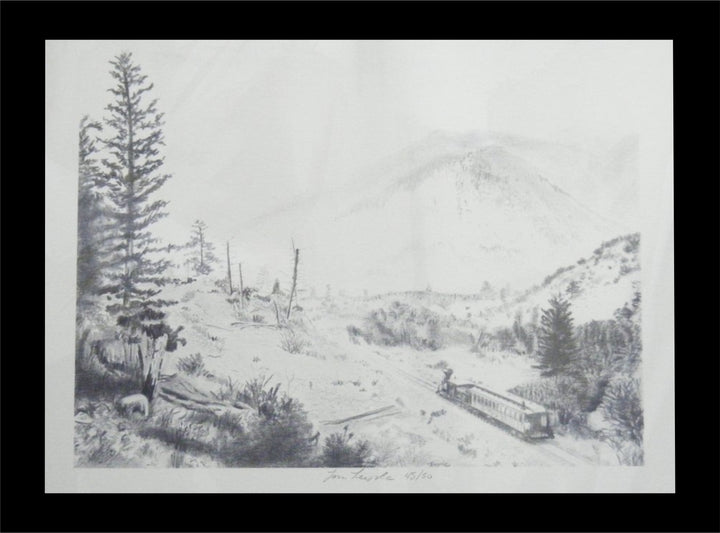 Custom Lithography Prints by Tom Teeple